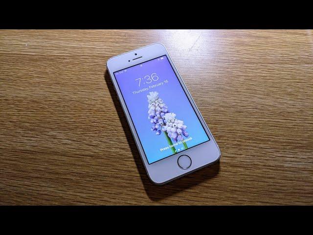 iPhone 5S - How is it to USE in 2024?