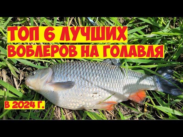 ТОП ЛУЧШИХ ПРИМАНОК НА ГОЛАВЛЯ В 2024 ГОДУ! Рыбалка на голавля!