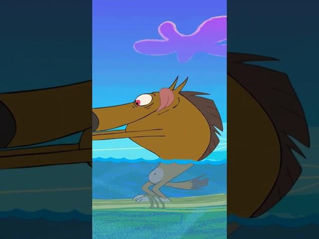 The best of the worst duo #Shorts #Zigandsharko Zig & Sharko | Cartoon for kids