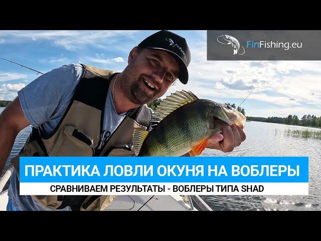 Ловля воблерами типа SHAD в Финляндии. ZipBaits Khamsin, Pontoon21 CrackJack, Kosadaka Mirage