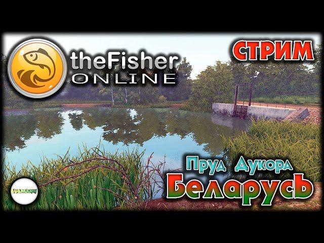 FISHER ONLINE - БЕЛАРУСЬ: ПРУД ДУКОРА ЗАКРЫВАЕМ НА СЕРЕБРО. ТРОФЕЙНЫЙ ЁРШ. СТРИМ. #12