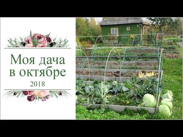 Моя дача в октябре 2018. Кострома.