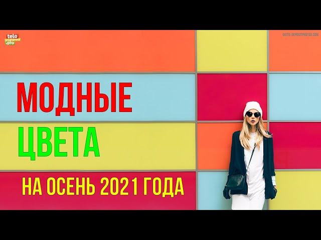 Модные цвета на осень 2021 года: мнение стилиста