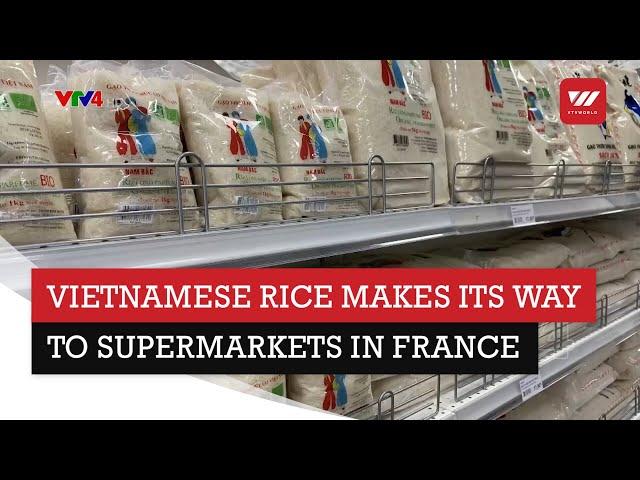 Vietnamese rice makes its way to supermarkets in France | VTV World