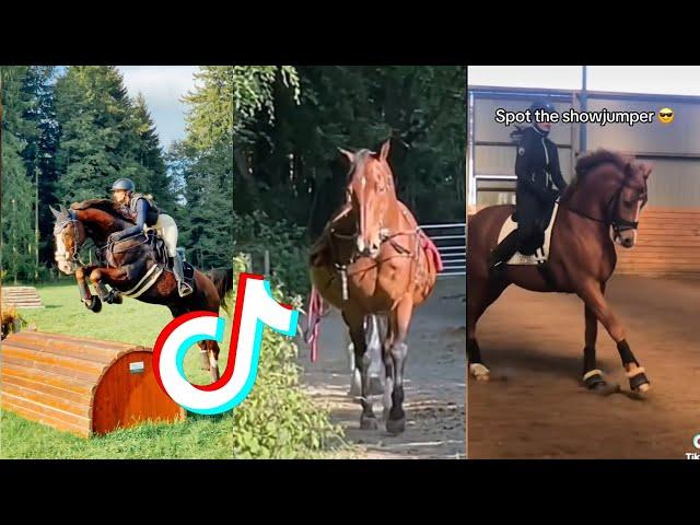 The Best HORSE  TikTok Compilation #111