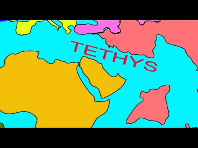 WHALE EVOLUTION: THE TETHYS SEAWAY.avi