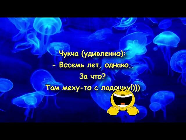 Лучшие анекдоты. Выпуск 35 | Смех до Слез с этими Анекдотами