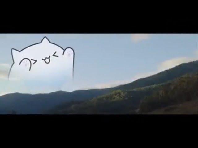 BONGO CAT  BEST COMPILATION!!!