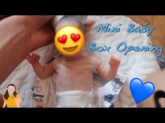 Mini Reborn Baby Box Opening! He's So Tiny! | Kelli Maple