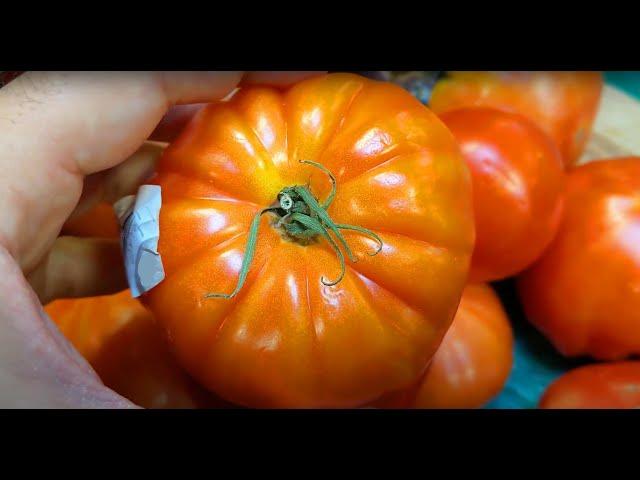 How to choose tomatoes at the grocery store | Tomato 101