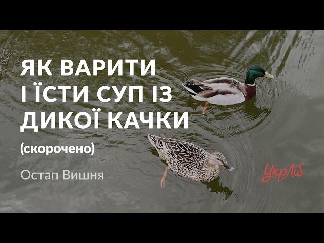 Остап Вишня — Як варити і їсти суп із дикої качки (аудіокнига скорочено)