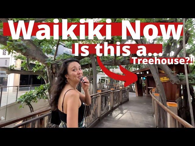 WAIKIKI NOW | (2024) International Marketplace WALKING TOUR | OAHU