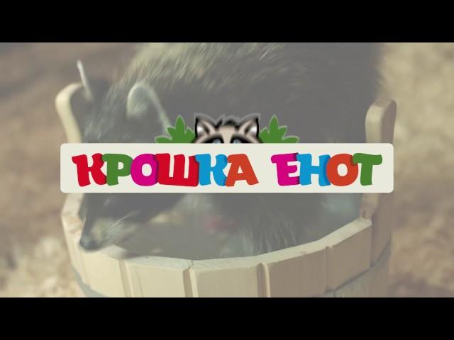 Крошка Енот