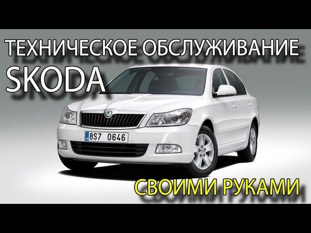 Техническое обслуживание автомобиля своими руками ТО Skoda Octavia своими руками