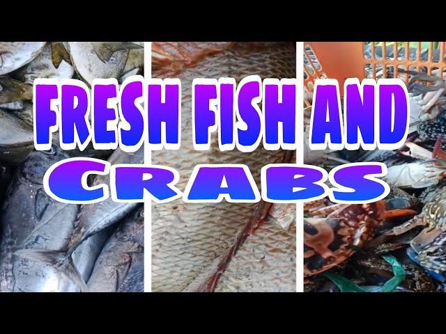 FRESH FISH AND CRABS IN THE MARKET