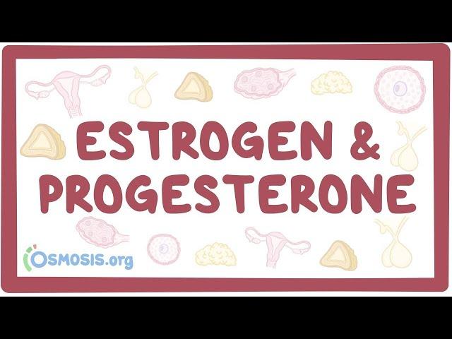 Estrogen & progesterone