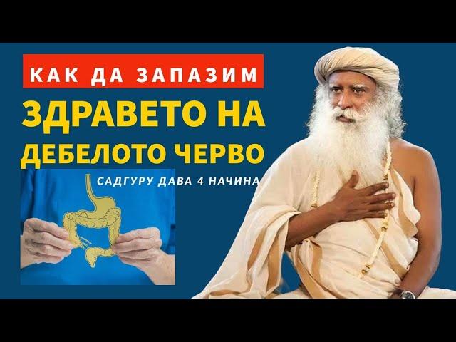 Как да запазим здравето на дебелото черво?! | 4 начина | Садгуру Даршан