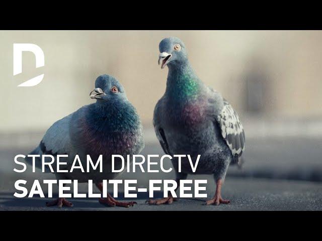 DIRECTV | For The Birds | The Good Stuff :30