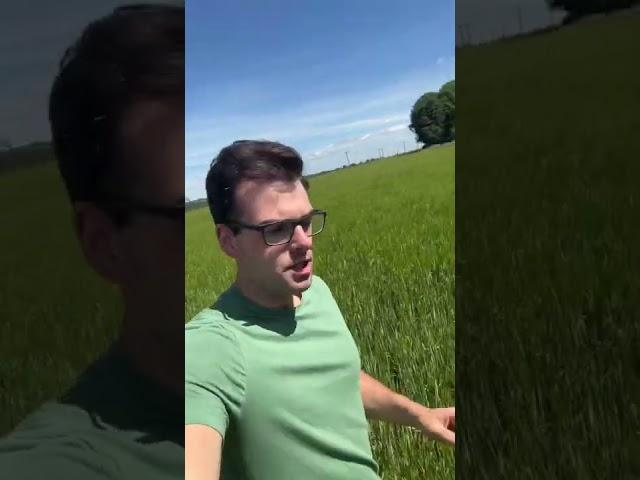 #Shorts Great tillering from the Claydon drilling! #claydon #notill #realfarmingvideos