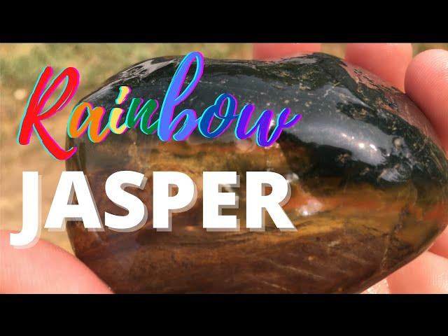 Hunting BEAUTIFUL rocks - Rainbow jasper and agatized wood