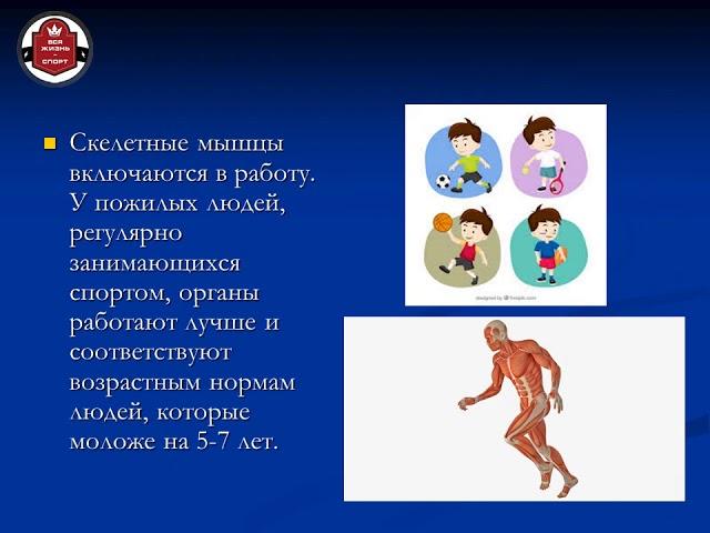 Режимы двигательной активности.