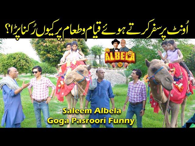 Camel ride | Saleem Albela and Goga Pasroori Very Funny Video Albela TV