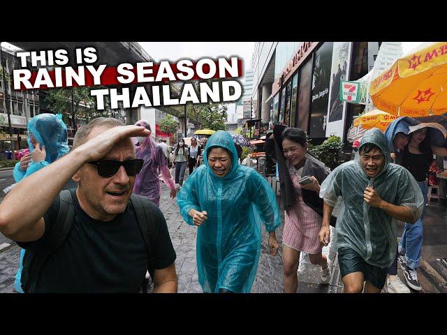Why To Visit THAILAND Now | The Weather & The Rainy Season | What To Expect #livelovethailand