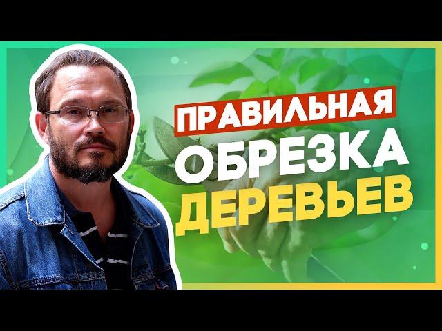 Работайте секатором правильно! Тонкости арбористики