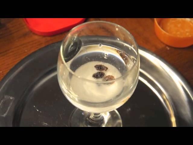 Kids Food Science Experiment- Jumping Raisins