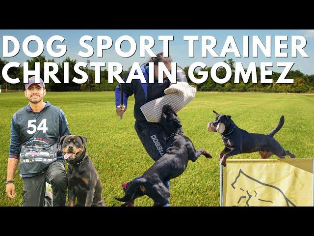 How to Train Your Rottweiler for Sports