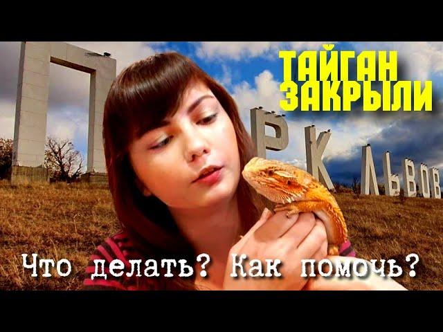 ТАЙГАН ЗАКРЫЛИ. ЧТО ДЕЛАТЬ? КАК ПОМОЧЬ?