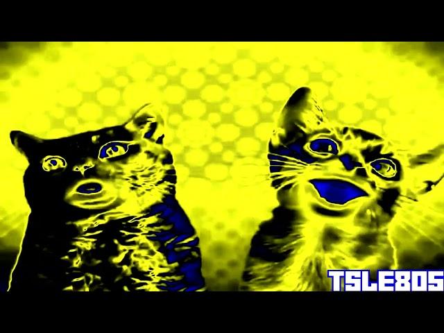 [REQ.] Preview 2 Numa Cat 3 Effects [Gamavision Csupo Effects]