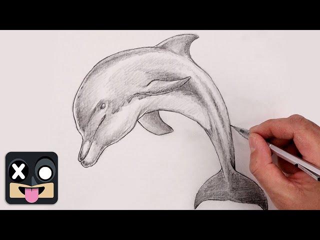 How To Draw a Dolphin | Sketch Tutorial for Beginners