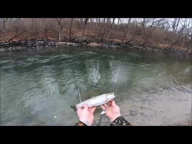2x LIMIT of TROUT!!! (Little patuxent River)
