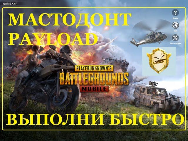 МАСТОДОНТ РЕЖИМА PAYLOAD БЫСТРОЕ ВЫПОЛНЕНИЕ PUBG MOBILE пубг мобайл достижения