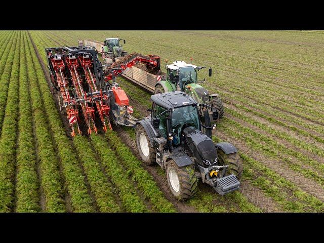 *NEW* Dewulf GK 3 carrot harvester | Valtra & Fendt | Landbouwbedrijf Jan Bakker