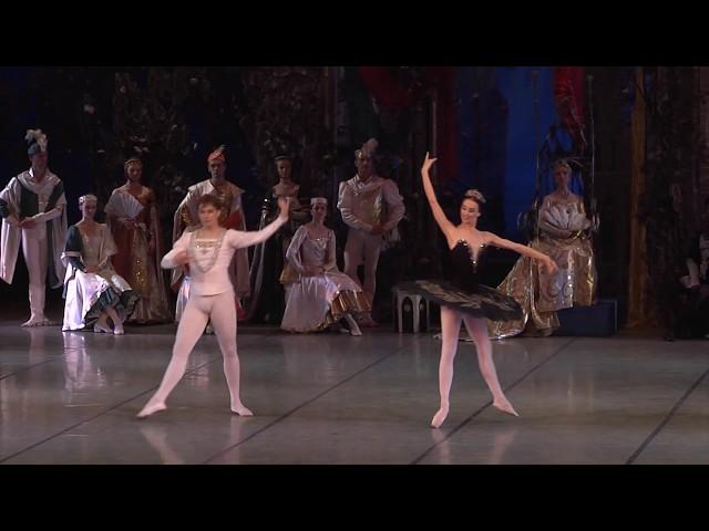 Swan Lake. Fragment Black Swan Adagio. Archive of Aleh Lukashevich