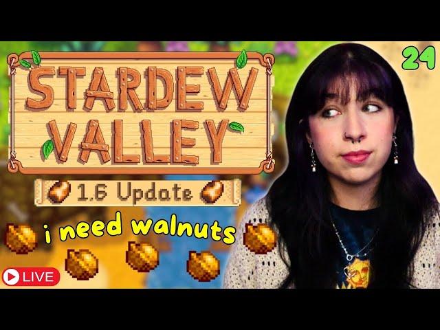 Can we get into Qi's walnut room today? | Stardew Valley 1.6