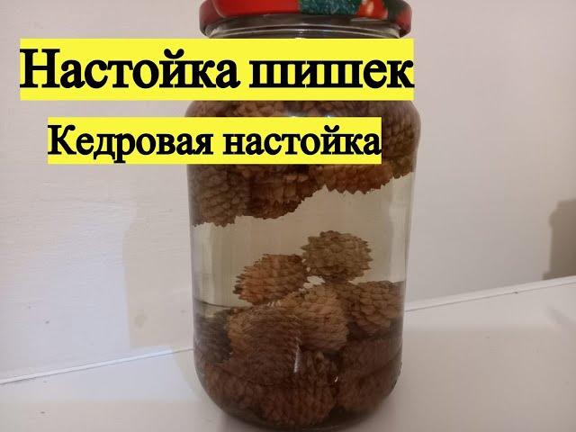 Настойка кедровых шишек. Лечебная настойка.