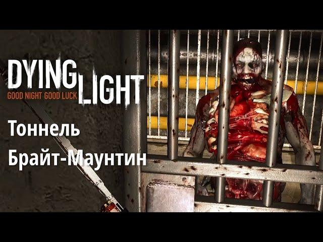 Dying Light | Карантинные зоны | Тоннель Брайт-Маунтин