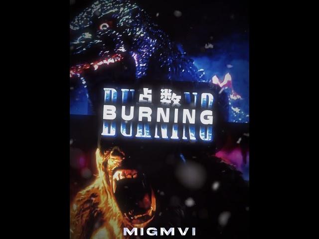 KONG VS GODZILLAS