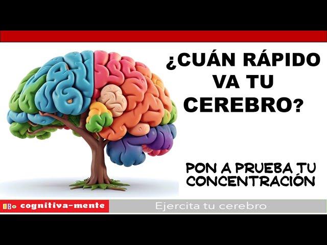 ACTIVA TU CEREBRO AL 100%  Ejercicios cognitivos para mantener tu mente en forma