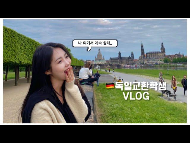 vlogㅣ교환학생의 짧지만 굵은 일주일 븨로그