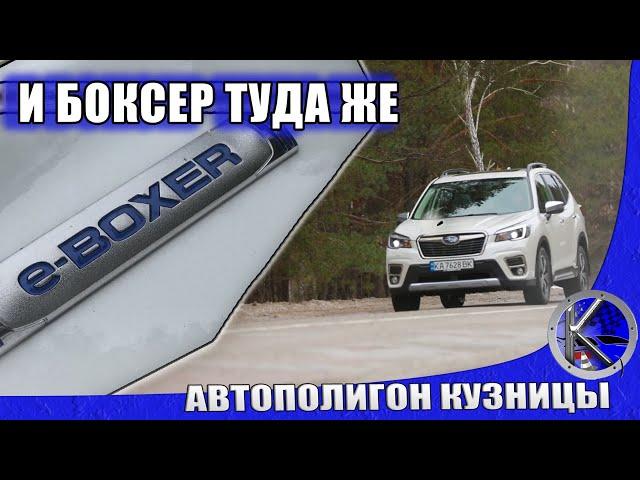 Что МОЖЕТ гибридный ФОРЕСТЕР? Расход топлива SUBARU FORESTER E-BOXER и его зависимость от погоды.