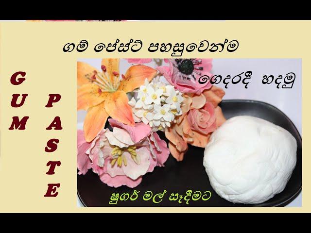 Gum Paste/ගම් පේස්ට්