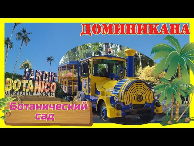 ДоминиканаБотанический садПальмовый райСанто ДомингоBotanical GardenDominicanSanto Domingo