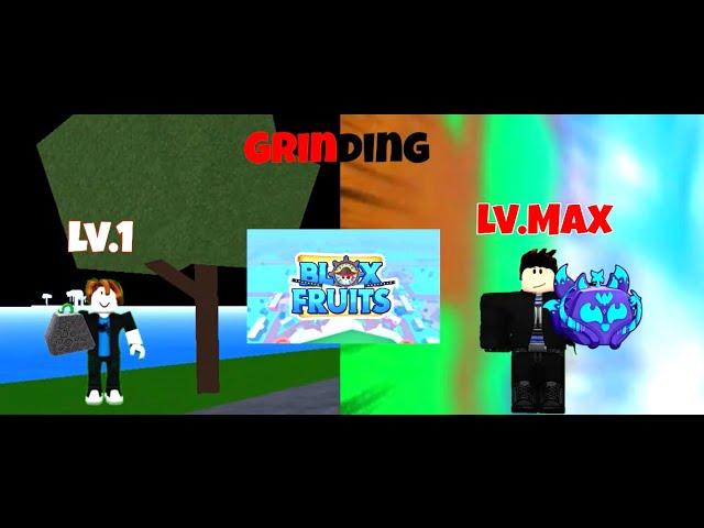 Grinding in |Blox Fruits||Roblox Gameplay|Hindi|