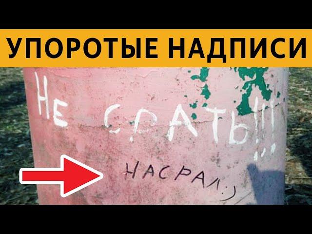 150 САМЫХ УПОРОТЫХ ОБЪЯВЛЕНИЙ - НЕ СРАТЬ! НАСРАЛ :) ЛЮТЫЕ НАДПИСИ