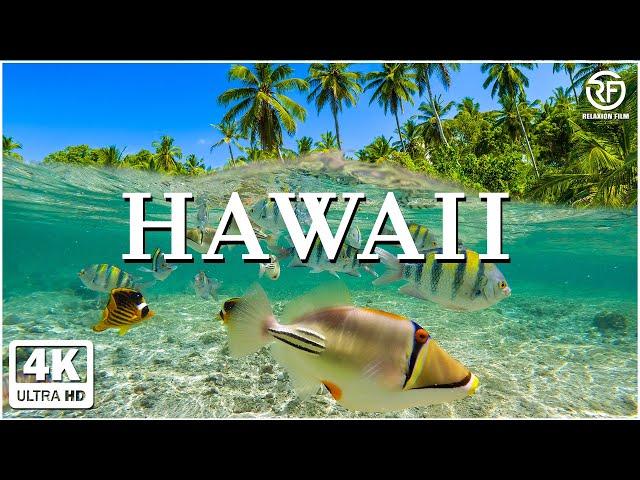 Hawaii 4K  Scenic Relaxation Film With Calming Music  4K Video Ultra HD