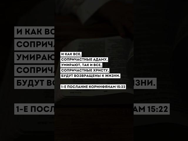С пасхой - Христос Воскрес! #церковь #пасха #Христос